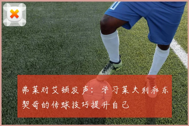 弗莱对艾顿发声：学习莱夫利和东契奇的传球技巧提升自己
